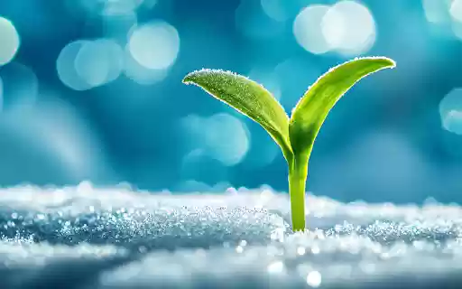 Healthy preschool  from Chrome web store to be run with OffiDocs Chromium online