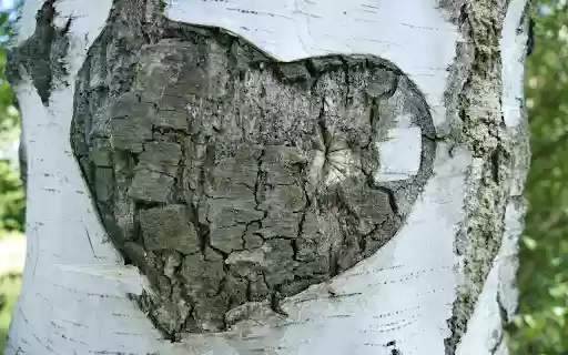 Heart shaped floating tree  from Chrome web store to be run with OffiDocs Chromium online