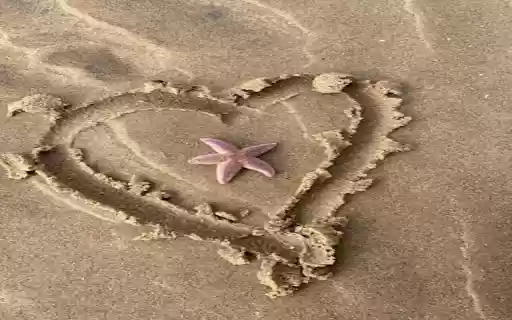 Heart wallpaper drawn in sand  from Chrome web store to be run with OffiDocs Chromium online