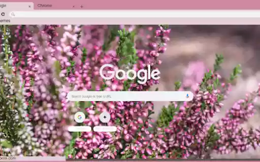 Heather Pink from Chrome web store to be run with OffiDocs Chromium online Heather Pink from Chrome web store to be run with OffiDocs Chromium online
