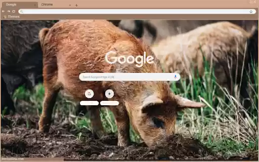 Heo dat  from Chrome web store to be run with OffiDocs Chromium online