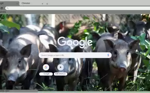 Heo rung  from Chrome web store to be run with OffiDocs Chromium online