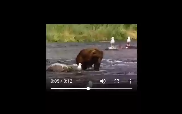 HidePlay  from Chrome web store to be run with OffiDocs Chromium online