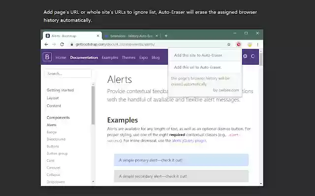 History Auto Eraser  from Chrome web store to be run with OffiDocs Chromium online