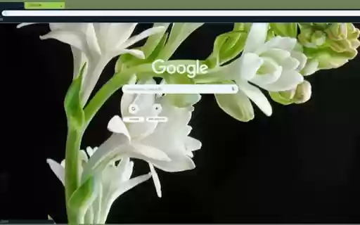 hoa hue  from Chrome web store to be run with OffiDocs Chromium online