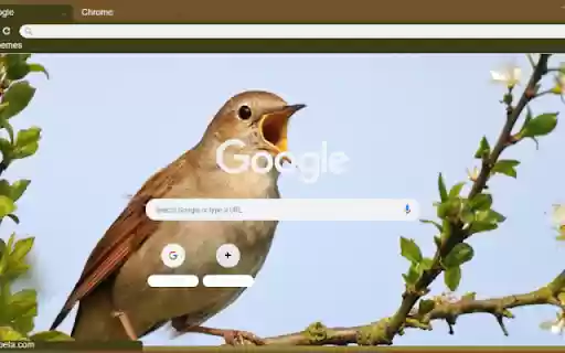 Hoa Mi  from Chrome web store to be run with OffiDocs Chromium online
