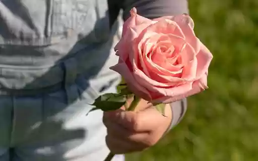 Holding the flower  from Chrome web store to be run with OffiDocs Chromium online