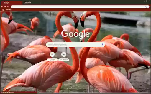 Hong hac  from Chrome web store to be run with OffiDocs Chromium online