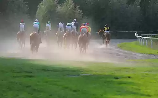 Horse racing competition  from Chrome web store to be run with OffiDocs Chromium online