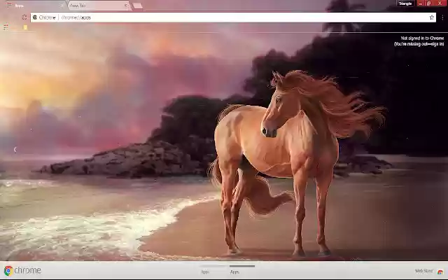 Horse Sea shore 1366*768 from Chrome web store to be run with OffiDocs Chromium online Horse Sea shore 1366*768 from Chrome web store to be run with OffiDocs Chromium online