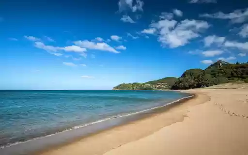 Hot Water Beach  from Chrome web store to be run with OffiDocs Chromium online