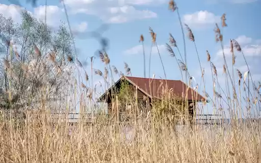 House and hay  from Chrome web store to be run with OffiDocs Chromium online