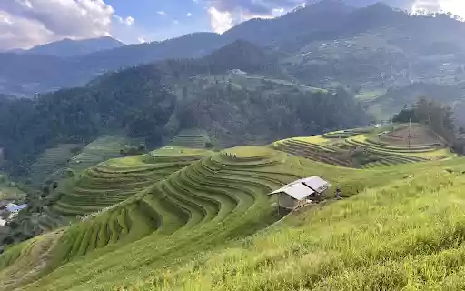 House and terraced fields  from Chrome web store to be run with OffiDocs Chromium online