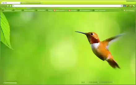 الطائر الطنان من متجر Chrome الإلكتروني ليتم تشغيله باستخدام OffiDocs Chromium عبر الإنترنت