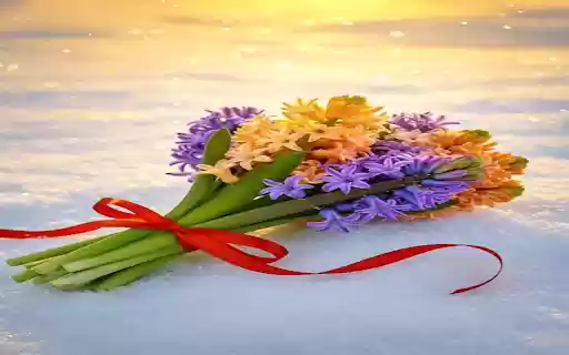 Hyacinth flower wallpaper  from Chrome web store to be run with OffiDocs Chromium online