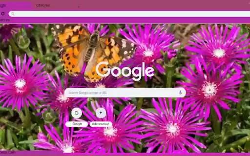 Ice Plant  from Chrome web store to be run with OffiDocs Chromium online