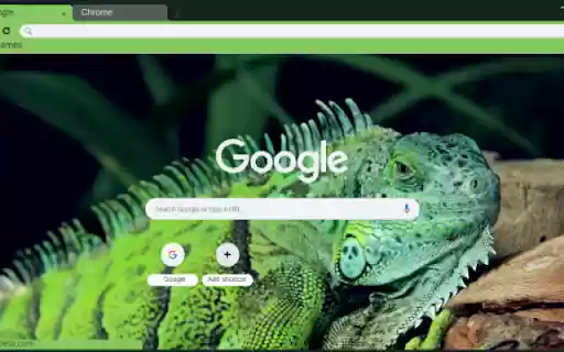 Iguana from Chrome web store to be run with OffiDocs Chromium online Iguana from Chrome web store to be run with OffiDocs Chromium online