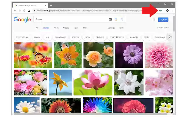Image Downloader  from Chrome web store to be run with OffiDocs Chromium online