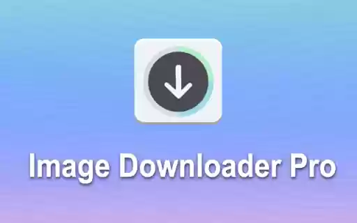 Image Downloader Pro —— Image DP  from Chrome web store to be run with OffiDocs Chromium online
