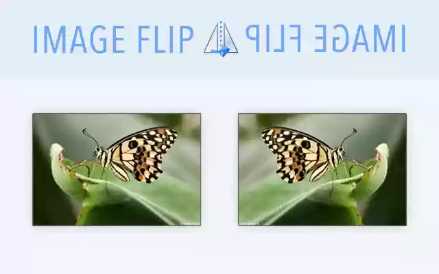Image Flip  from Chrome web store to be run with OffiDocs Chromium online