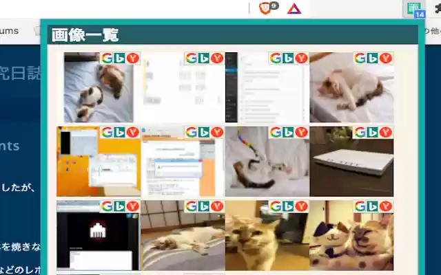 Image hunter from Chrome web store to be run with OffiDocs Chromium online Image hunter from Chrome web store to be run with OffiDocs Chromium online