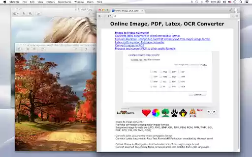 Image, OCR Converter  from Chrome web store to be run with OffiDocs Chromium online