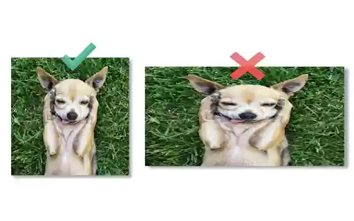 Image Resizer Resize  Optimize Images  from Chrome web store to be run with OffiDocs Chromium online