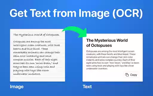 Image to Text Converter  from Chrome web store to be run with OffiDocs Chromium online