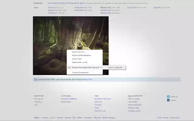 ImageVault URL Shortener  from Chrome web store to be run with OffiDocs Chromium online