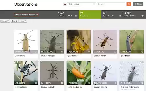 iNatty Localness Checker  from Chrome web store to be run with OffiDocs Chromium online