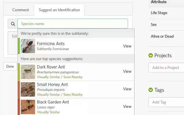 iNaturalist Enhancement Suite  from Chrome web store to be run with OffiDocs Chromium online