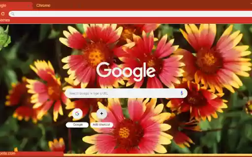 Indian Blanket  from Chrome web store to be run with OffiDocs Chromium online