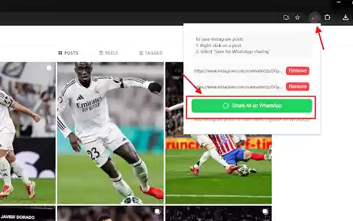 Instazap  from Chrome web store to be run with OffiDocs Chromium online