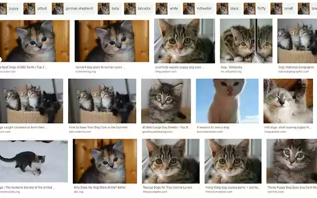 InternetOfCats  from Chrome web store to be run with OffiDocs Chromium online