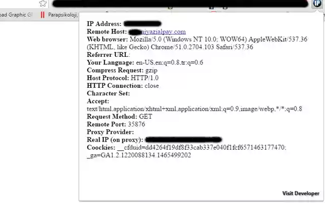 IP Details  from Chrome web store to be run with OffiDocs Chromium online