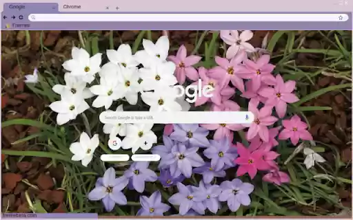 Ipheion  from Chrome web store to be run with OffiDocs Chromium online