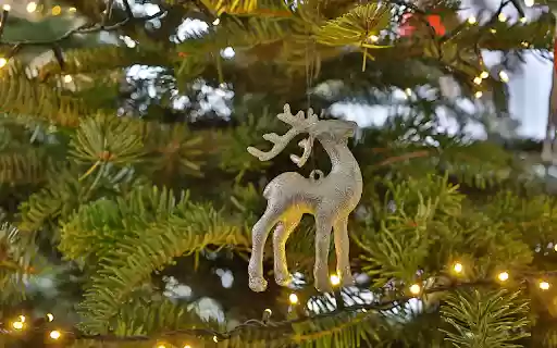 Iridescent reindeer  from Chrome web store to be run with OffiDocs Chromium online