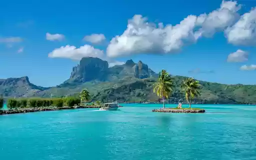 island of two coconut trees  from Chrome web store to be run with OffiDocs Chromium online