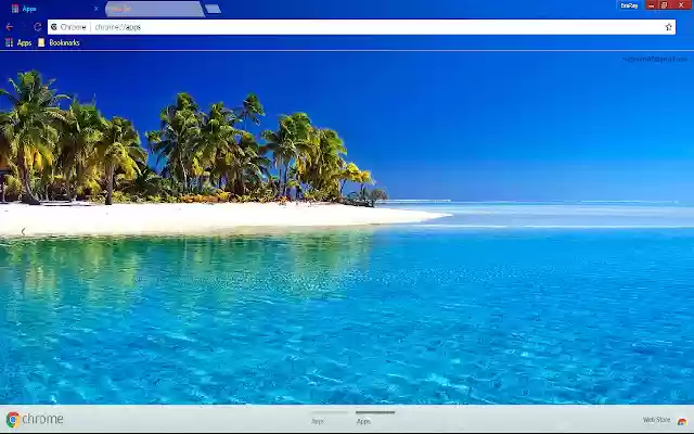 Island Palm Tree  from Chrome web store to be run with OffiDocs Chromium online