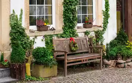 Ivy Covered Garden Bench  from Chrome web store to be run with OffiDocs Chromium online