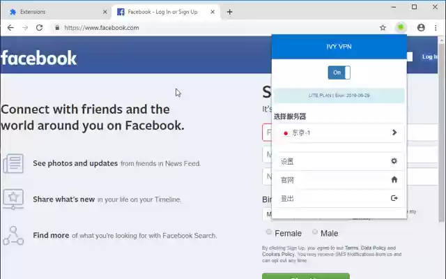 IvyVPN  from Chrome web store to be run with OffiDocs Chromium online