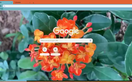 Ixora  from Chrome web store to be run with OffiDocs Chromium online
