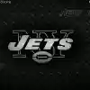 jets2010dp  from Chrome web store to be run with OffiDocs Chromium online