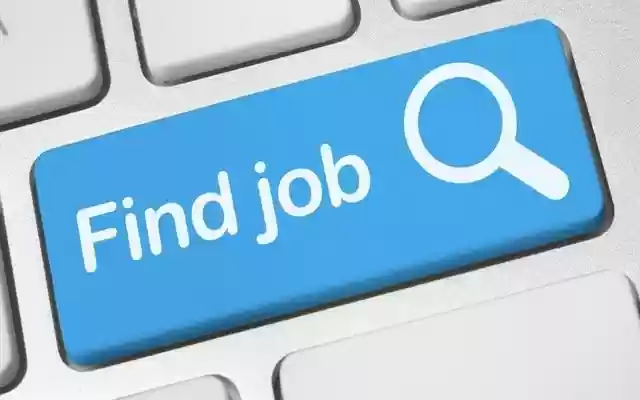 Jobs Search  from Chrome web store to be run with OffiDocs Chromium online