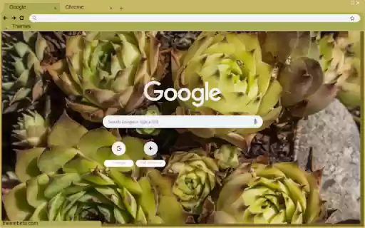 Jovibarba  from Chrome web store to be run with OffiDocs Chromium online