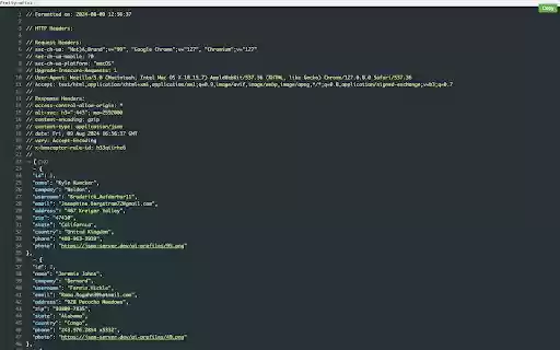 JSON Viewer Plus van de Chrome Web Store kan worden uitgevoerd met OffiDocs Chromium online