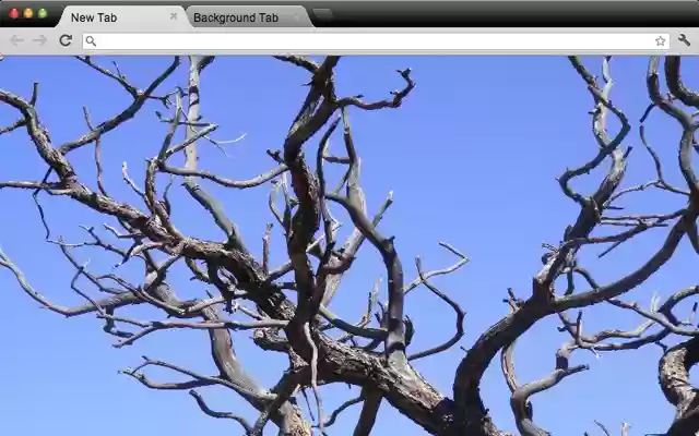 Juniper Theme  from Chrome web store to be run with OffiDocs Chromium online