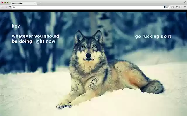 Jurawa Design Wolf New Tab Extension from Chrome web store to be run with OffiDocs Chromium online Jurawa Design Wolf New Tab Extension from Chrome web store to be run with OffiDocs Chromium online