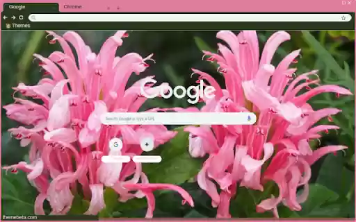 Justicia Carnea  from Chrome web store to be run with OffiDocs Chromium online