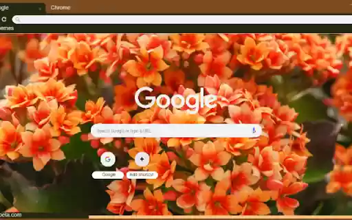 Kalanchoe  from Chrome web store to be run with OffiDocs Chromium online